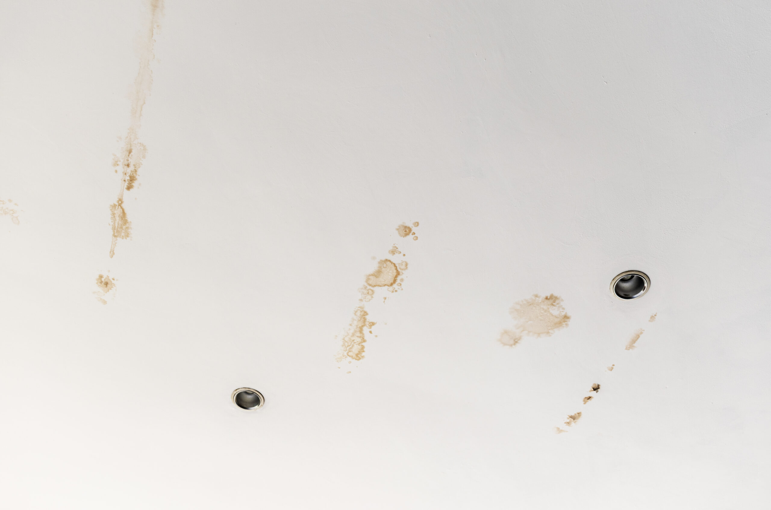 Turite vandens dėmių ant lubų? Štai 5 priežastys ir kaip jas pašalinti
